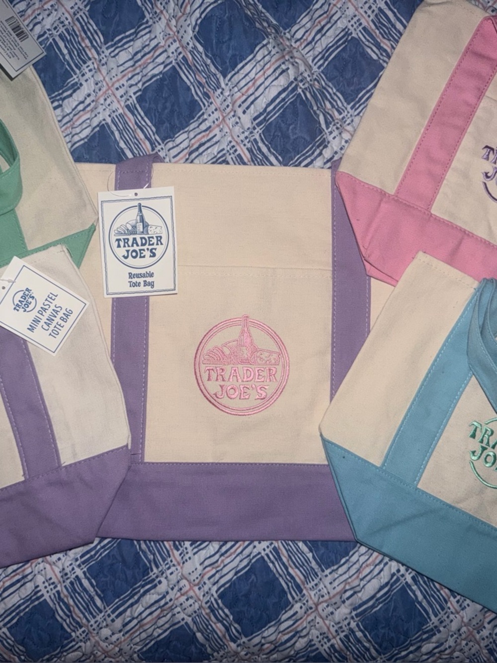 Trader Joe’s Pastel Large & Mini Canvas Totes Set of 5